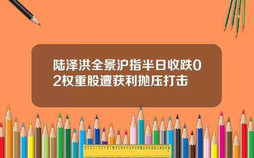 陆泽洪全景沪指半日收跌02权重股遭获利抛压打击