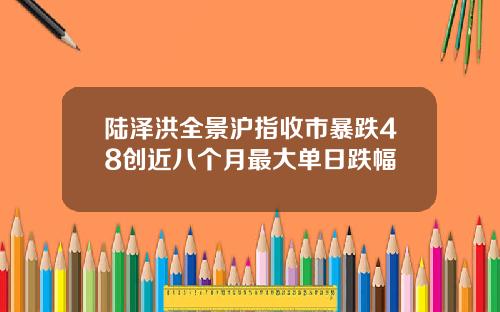 陆泽洪全景沪指收市暴跌48创近八个月最大单日跌幅