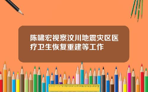 陈啸宏视察汶川地震灾区医疗卫生恢复重建等工作
