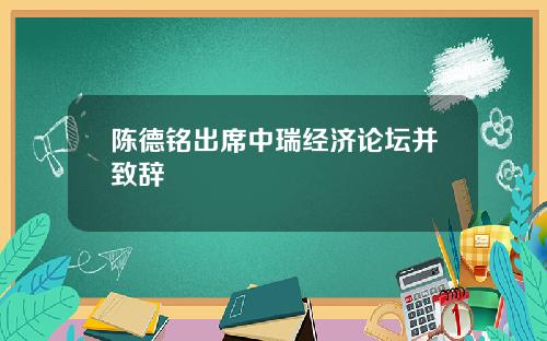 陈德铭出席中瑞经济论坛并致辞