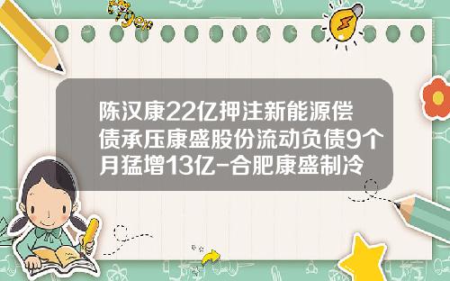 陈汉康22亿押注新能源偿债承压康盛股份流动负债9个月猛增13亿-合肥康盛制冷有限公司