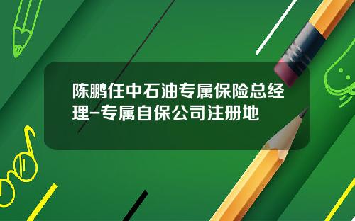 陈鹏任中石油专属保险总经理-专属自保公司注册地