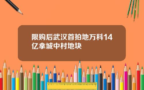 限购后武汉首拍地万科14亿拿城中村地块