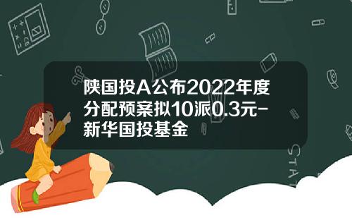 陕国投A公布2022年度分配预案拟10派0.3元-新华国投基金