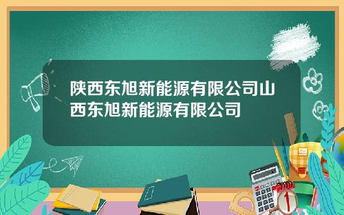 陕西东旭新能源有限公司山西东旭新能源有限公司