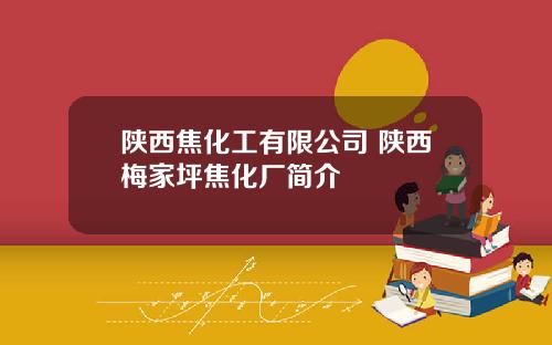 陕西焦化工有限公司 陕西梅家坪焦化厂简介