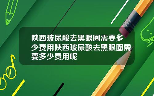 陕西玻尿酸去黑眼圈需要多少费用陕西玻尿酸去黑眼圈需要多少费用呢