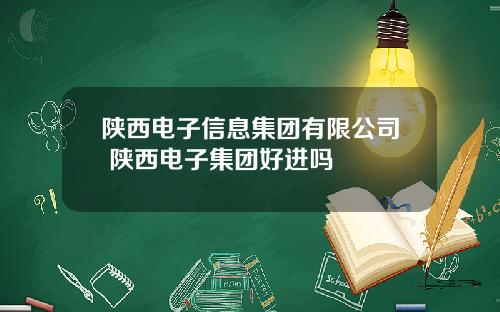 陕西电子信息集团有限公司 陕西电子集团好进吗
