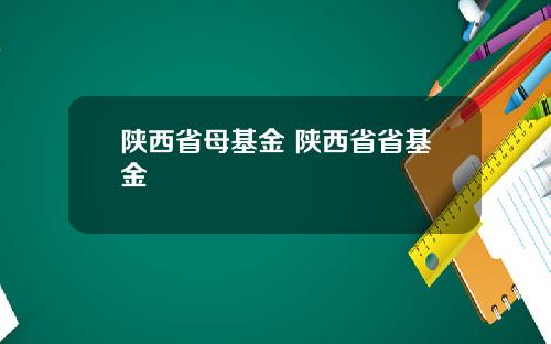 陕西省母基金 陕西省省基金