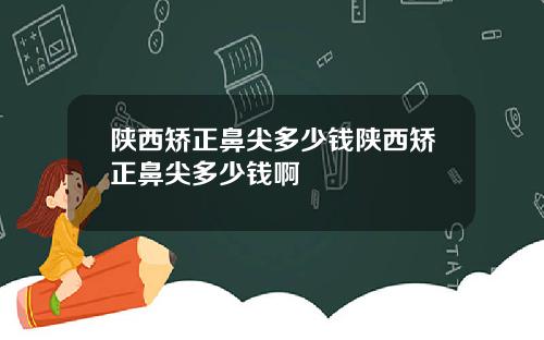 陕西矫正鼻尖多少钱陕西矫正鼻尖多少钱啊