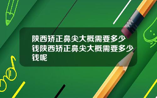 陕西矫正鼻尖大概需要多少钱陕西矫正鼻尖大概需要多少钱呢
