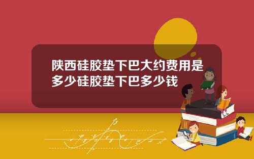 陕西硅胶垫下巴大约费用是多少硅胶垫下巴多少钱