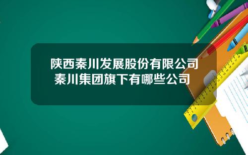 陕西秦川发展股份有限公司 秦川集团旗下有哪些公司