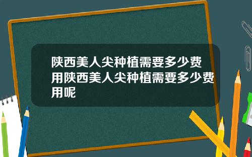 陕西美人尖种植需要多少费用陕西美人尖种植需要多少费用呢