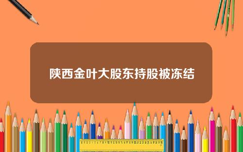 陕西金叶大股东持股被冻结