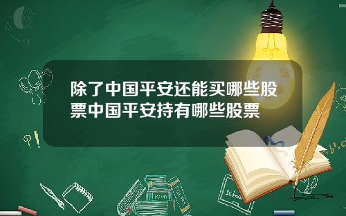 除了中国平安还能买哪些股票中国平安持有哪些股票