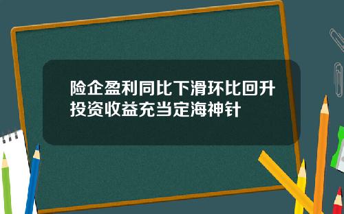 险企盈利同比下滑环比回升投资收益充当定海神针
