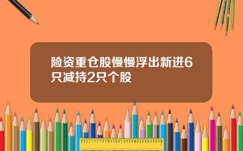 险资重仓股慢慢浮出新进6只减持2只个股