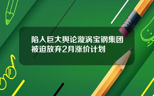 陷入巨大舆论漩涡宝钢集团被迫放弃2月涨价计划