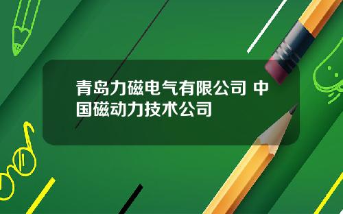 青岛力磁电气有限公司 中国磁动力技术公司