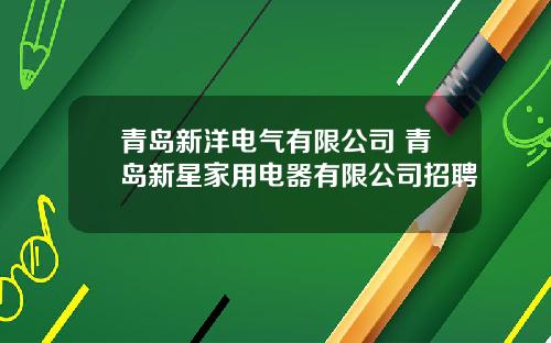 青岛新洋电气有限公司 青岛新星家用电器有限公司招聘