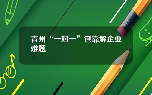 青州“一对一”包靠解企业难题