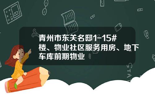 青州市东关名邸1-15#楼、物业社区服务用房、地下车库前期物业