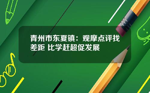 青州市东夏镇：观摩点评找差距 比学赶超促发展