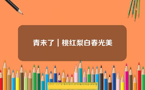 青未了｜桃红梨白春光美