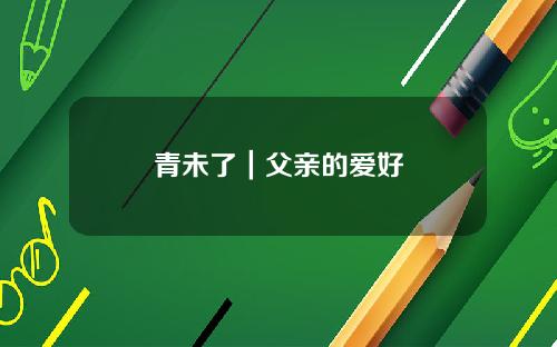 青未了｜父亲的爱好
