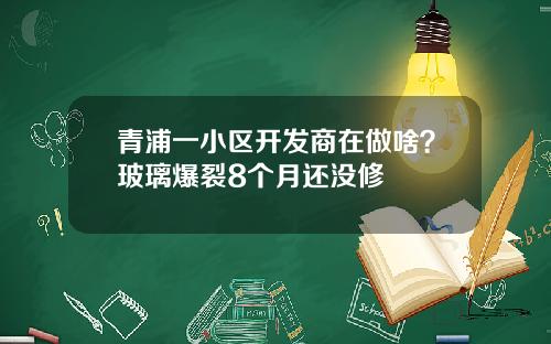 青浦一小区开发商在做啥？玻璃爆裂8个月还没修