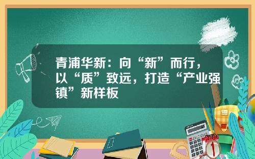 青浦华新：向“新”而行，以“质”致远，打造“产业强镇”新样板