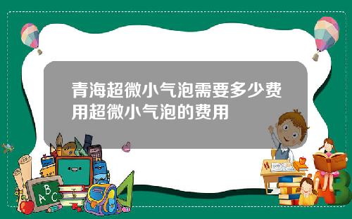青海超微小气泡需要多少费用超微小气泡的费用