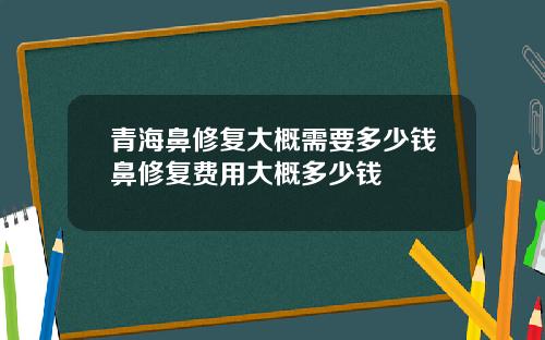 青海鼻修复大概需要多少钱鼻修复费用大概多少钱