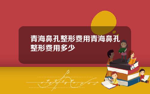 青海鼻孔整形费用青海鼻孔整形费用多少