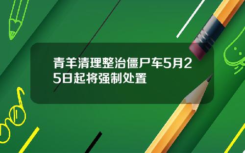 青羊清理整治僵尸车5月25日起将强制处置