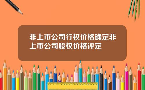 非上市公司行权价格确定非上市公司股权价格评定