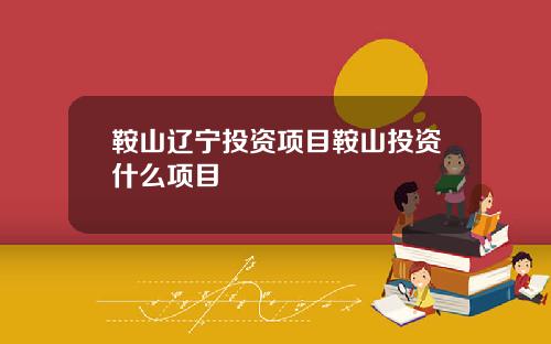 鞍山辽宁投资项目鞍山投资什么项目