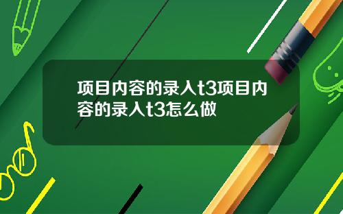 项目内容的录入t3项目内容的录入t3怎么做