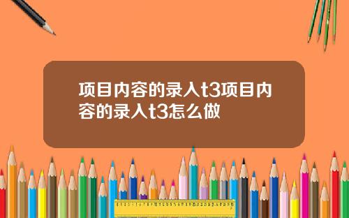 项目内容的录入t3项目内容的录入t3怎么做