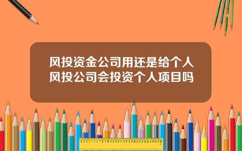 风投资金公司用还是给个人风投公司会投资个人项目吗