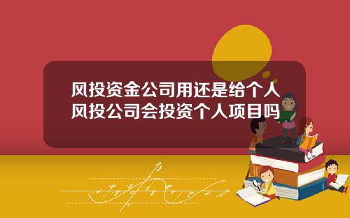 风投资金公司用还是给个人风投公司会投资个人项目吗