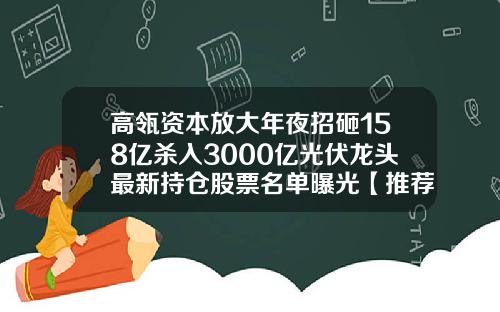 高瓴资本放大年夜招砸158亿杀入3000亿光伏龙头最新持仓股票名单曝光【推荐】