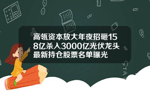 高瓴资本放大年夜招砸158亿杀入3000亿光伏龙头最新持仓股票名单曝光