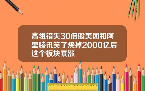 高瓴错失30倍股美团和阿里腾讯笑了烧掉2000亿后这个板块暴涨