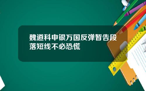 魏道科申银万国反弹暂告段落短线不必恐慌
