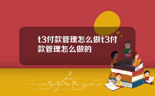 t3付款管理怎么做t3付款管理怎么做的