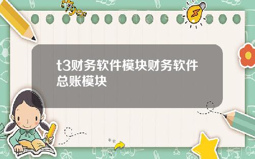 t3财务软件模块财务软件总账模块