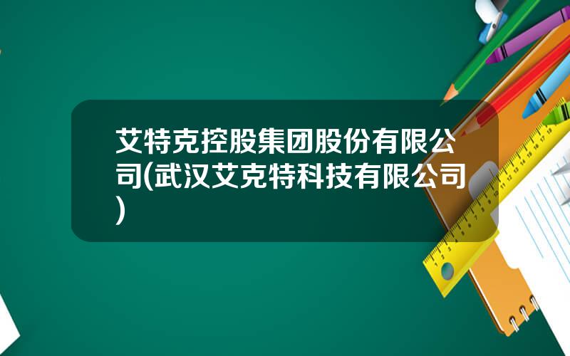 艾特克控股集团股份有限公司(武汉艾克特科技有限公司)