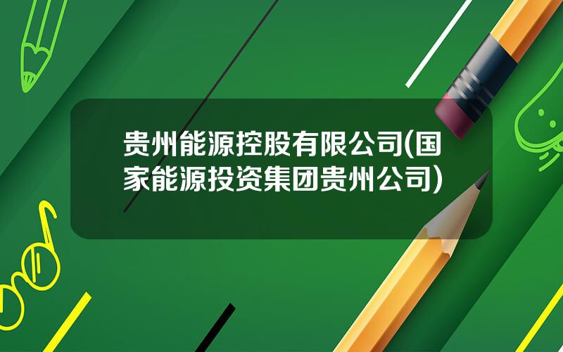贵州能源控股有限公司(国家能源投资集团贵州公司)